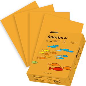 Kopierpapier Papyrus Rainbow 88042417
