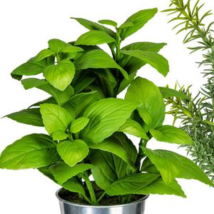 Produktbild für Kunstpflanze Creativ-green Kräutermix