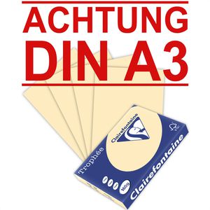 Kopierpapier Clairefontaine Trophée 1066RC, A3