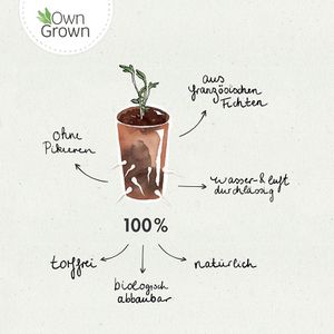 Produktbild für Anzuchttöpfe OwnGrown BEGR-300181, 60 Stück