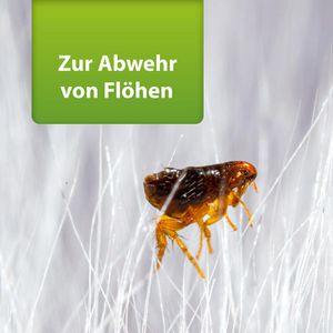 Produktbild für Insektenspray ARDAP Repell Flohspray