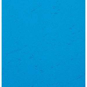 Produktbild für Deckblätter Exacompta Forever 2781c, A4