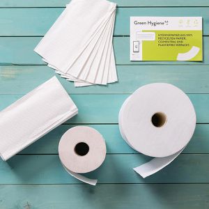 Produktbild für Papierhandtücher Green-Hygiene Ingeborg, 2-lagig