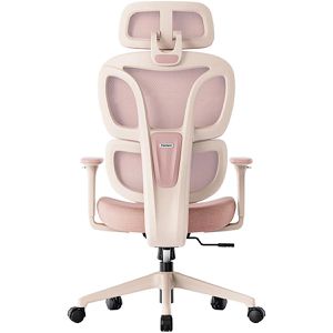 Produktbild für Bürostuhl FlexiSpot BS5P