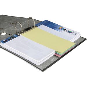 Produktbild für Trennstreifen Wekre farbig sortiert