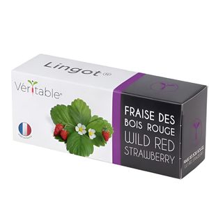 Saatpad Veritable Lingot, Rote Walderdbeere