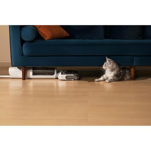 Produktbild für Saugwischer Roborock F25 RT