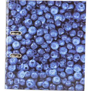Produktbild für Ordner Herlitz 11080660 maX.file Fruits Karton, A4