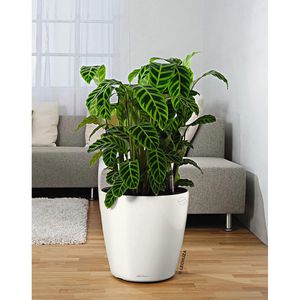 Produktbild für Pflanzenroller Lechuza 13403, bis 90 kg, Ø 30 cm