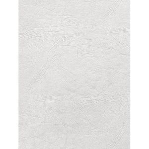 Deckblätter Fellowes 53736 Delta, A4