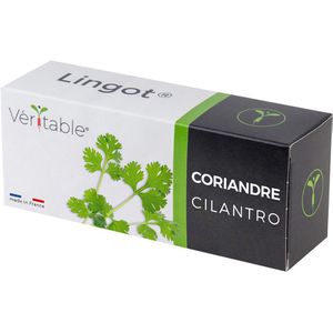 Saatpad Veritable Lingot, Koriander