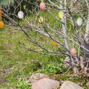 Produktbild für Osterdeko Rayher 3906080, apricot / gelb