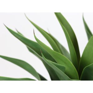 Produktbild für Kunstpflanze I.GE.A. Agave