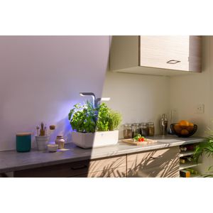 Produktbild für Anzuchtkasten Veritable Smart White, 33x18,5x45cm