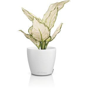 Produktbild für Übertopf Lechuza-DECO 12, weiß, Ø 13 x 12 cm