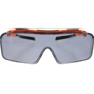Produktbild für Schutzbrille Infield Ontor, getönt