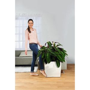 Produktbild für Pflanzenroller Lechuza 13503, bis 120 kg, Ø 36 cm