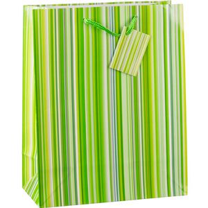 Produktbild für Geschenktüte TSI 85315 Colorful Lines