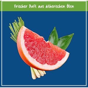 Produktbild für Unterhaltsreiniger Poliboy NCP Wischroboter