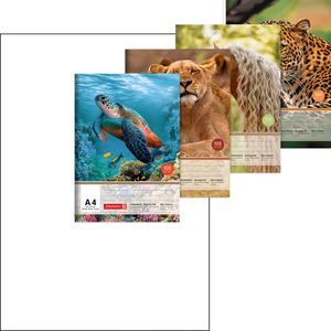 Zeichenblock Brunnen 104791409, A4