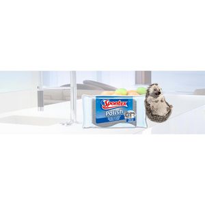 Produktbild für Spülschwamm Spontex Polish Edelstahl-Putz