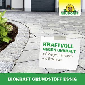 Produktbild für Grundstoff Neudorff BioKraft Essig, anwendungsfertig