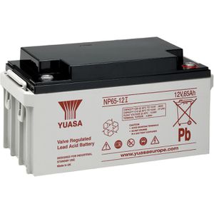 AGM-Batterie Yuasa NP65-12I