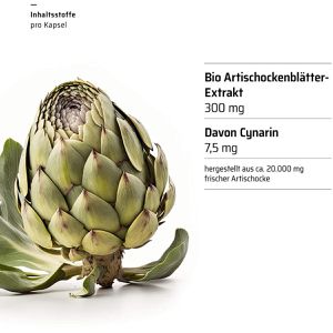 Produktbild für Bitterstoffe Sanhelios Complex Artischocke, 100 Kapseln, BIO