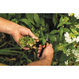 Produktbild für Gartenschere Fiskars Solid Micro-Tip SP130, 1051600, Bypass