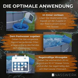 Produktbild für Algizid NASSWERK Algenvernichter mit Algo-Schield Formel