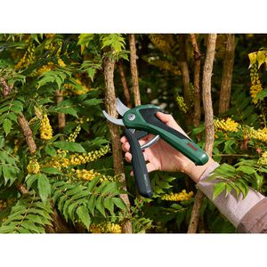 Produktbild für Gartenschere Bosch EasyPrune, Bypass, mit Akku