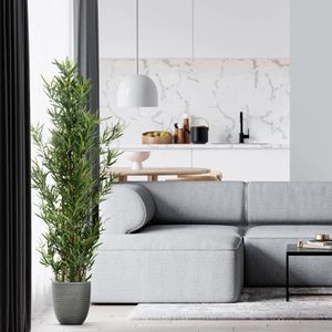 Produktbild für Kunstpflanze hJh-OFFICE Bambus