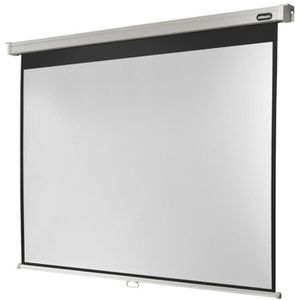 Beamer-Leinwand Celexon Rollo Professional
