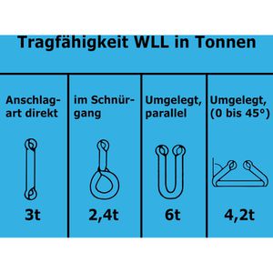 Produktbild für Hebeband Feldtmann 84544-2M, TECTOR