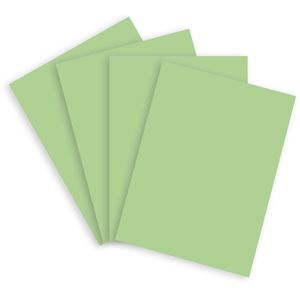 Produktbild für Kopierpapier Papyrus Rainbow 88042635