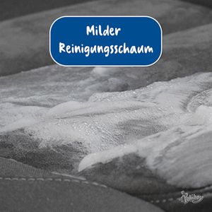 Produktbild für Polsterreiniger Poliboy Teppichreiniger