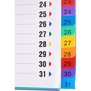 Produktbild für Register D.RECT 009263, A4, 1-31
