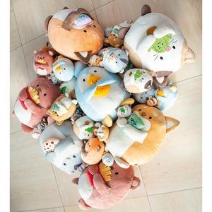 Produktbild für Kuscheltier NICI mymochi 61150