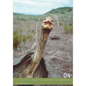 Produktbild für Bildkalender Alpha 117801, Tierisch Cool!, Jahr 2027