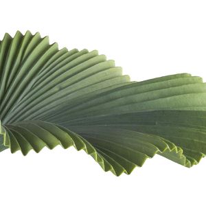 Produktbild für Kunstpflanze Creativ-green Strahlenpalme grün