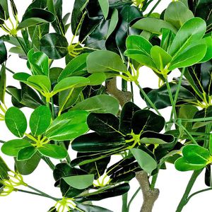 Produktbild für Kunstpflanze Decovego Schefflera Arboricola