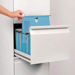 Produktbild für Hängehefter Elba 100552090, chic Ultimate, A4