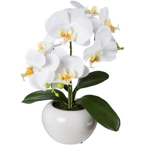 Kunstblume Creativ-green Orchidee, Phalaenopsis