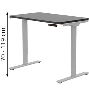 Produktbild für Schreibtisch FlexiSpot E1S Pro, schwarz / grau