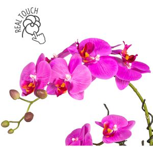 Creativ-green Kunstblume Orchidee, Böttcher Keramik-Schale, Phalaenopsis, Höhe – cm lila, in AG 42