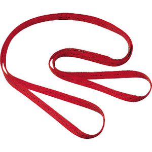 Produktbild für Sicherheitsgurt MAS 90, 41001, 2-Punkt-System