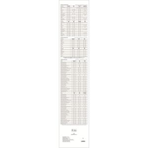 Produktbild für Streifenkalender Alpha 163201, Megaplaner XXL