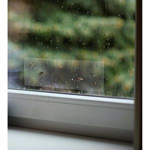 Produktbild für Fliegenfalle Elina-Clean Fenster, transparent zum Ankleben