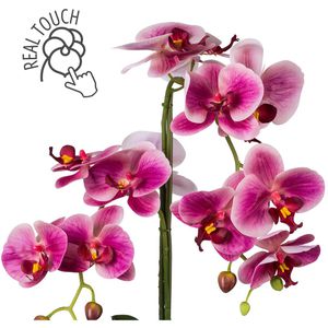 Produktbild für Kunstblume Creativ-green Orchidee, Phalaenopsis