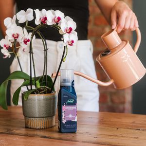 Produktbild für Dünger Westland Orchideen